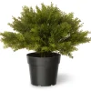 15" Artificial Globe Juniper