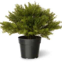 15" Artificial Globe Juniper