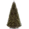 10 ft. North Valley Spruce Tree