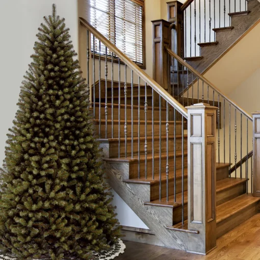 10 ft. North Valley Spruce Tree