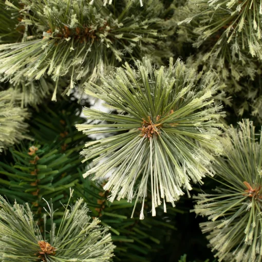 6 ft. Arcadia Pine Cashmere Tree