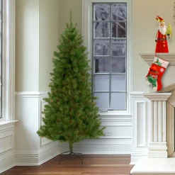 7.5 ft. Canadian Fir Tree