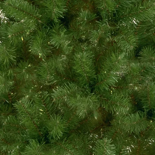 7.5 ft. Canadian Fir Tree