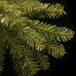12 ft. Dunhill Fir Tree