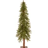 5 ft. Hickory Cedar Tree
