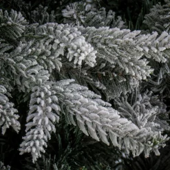 7.5 ft. Holliston Tree