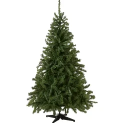 6 ft. Kincaid Spruce Tree