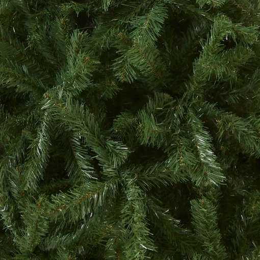 6 ft. Kincaid Spruce Tree