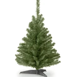 3 ft. Kincaid Spruce Tree