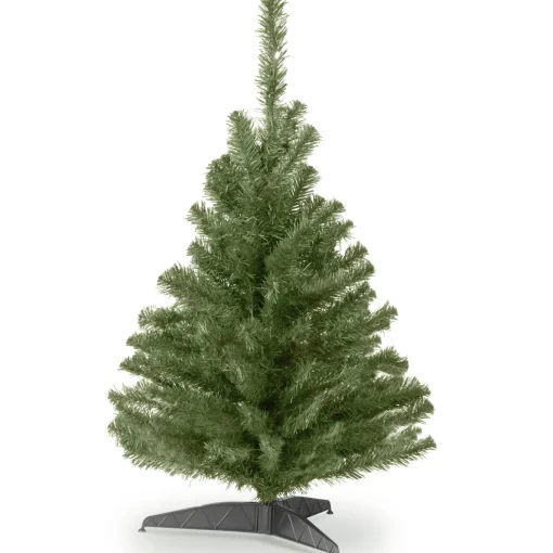 3 ft. Kincaid Spruce Tree