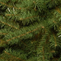 3 ft. Kincaid Spruce Tree