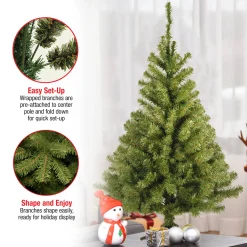 3 ft. Kincaid Spruce Tree