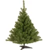 4 ft. Kincaid Spruce Tree
