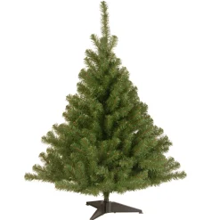 4 ft. Kincaid Spruce Tree