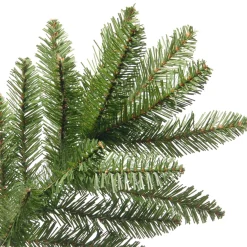 6 ft. Kingswood Fir Pencil Tree