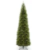 14 ft. Kingswood Fir Pencil Slim Tree