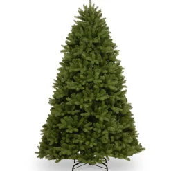 7.5 ft. Newberry Spruce Tree