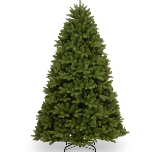 7.5 ft. Newberry Spruce Tree