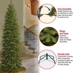 9 ft. North Valley Spruce Pencil Slim Tree
