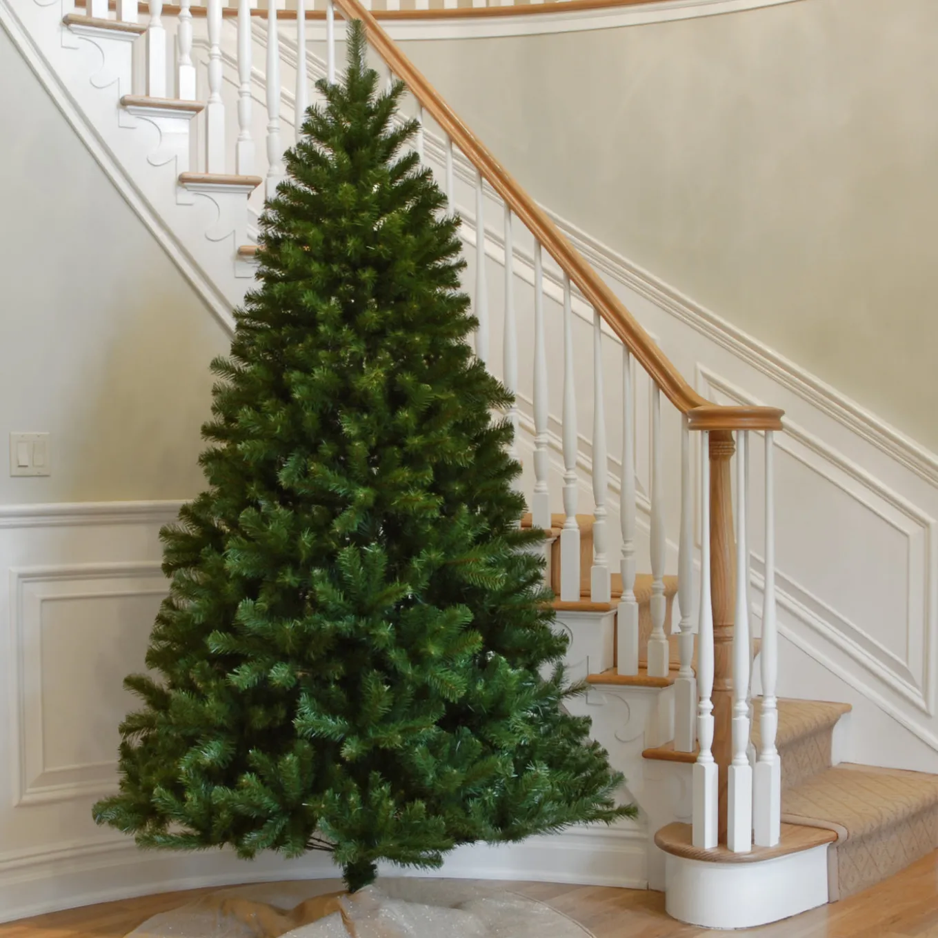 7.5 ft. North Valley Spruce Tree