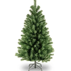 4 ft. North Valley Spruce Tree