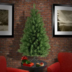 4 ft. North Valley Spruce Tree