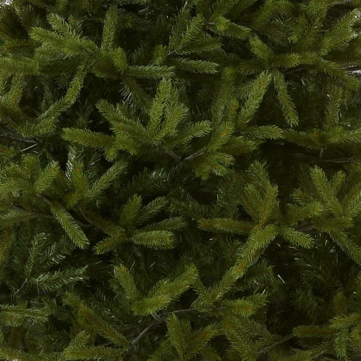 7.5 ft. Norway Fir Tree