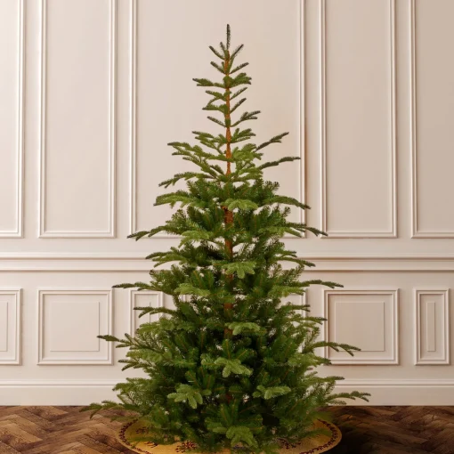 7.5 ft. Norwegian Spruce Tree