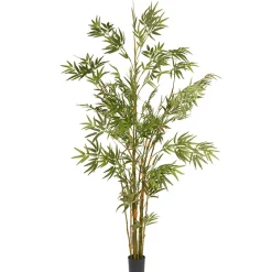 6 ft. Potted Japanese Bamboo Tree