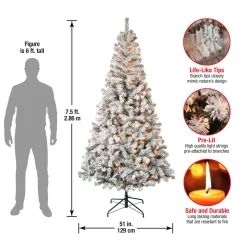 7.5 ft. Pre-Lit Acacia Flocked Tree with Clear Lights