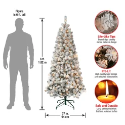 6 ft. Pre-Lit Acacia Slim Tree with Clear Lights