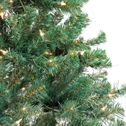 6 ft. Pre-Lit Acacia Tree with Clear Lights