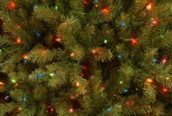 7.5 ft. Pre-Lit Dunhill Fir Tree with Multicolor Lights
