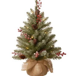 2 ft. Pre-Lit Dunhill Fir Tree with LED Lights
