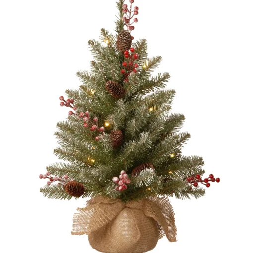 2 ft. Pre-Lit Dunhill Fir Tree with LED Lights