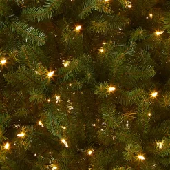 7.5 ft. Pre-Lit Dunhill Fir Tree with Dual Color LED Lights