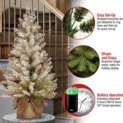 3 ft. Pre-Lit Dunhill Fir Tree with Warm White LED Lights