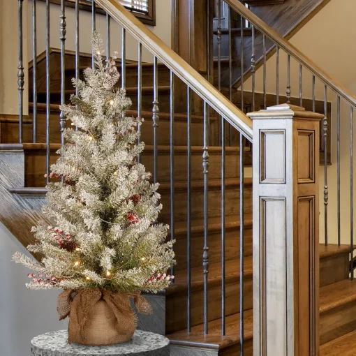 3 ft. Pre-Lit Dunhill Fir Tree with Warm White LED Lights