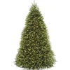 9 ft. Pre-Lit Dunhill Fir Tree with 900 Clear Lights