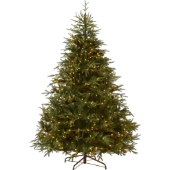 6 ft. Pre-Lit Fraser Grande with Dual Color LED Lights