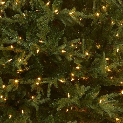 6 ft. Pre-Lit Fraser Grande with Dual Color LED Lights