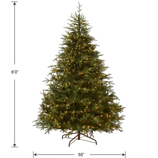6 ft. Pre-Lit Fraser Grande with Dual Color LED Lights