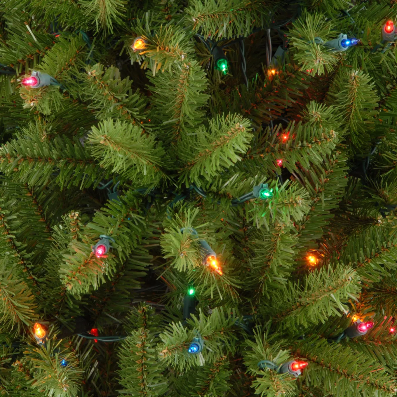7.5 ft. Pre-Lit Kingswood Fir Pencil Tree with Multicolor Lights