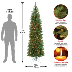7.5 ft. Pre-Lit Kingswood Fir Pencil Tree with Multicolor Lights