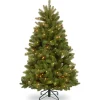 5 ft. Pre-Lit Newberry Spruce Tree with Clear Lights