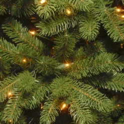 5 ft. Pre-Lit Newberry Spruce Tree with Dual Color LED Lights