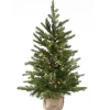 3 ft. Pre-Lit Nordic Spruce Tree with Clear Lights