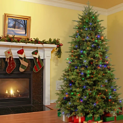 9 ft. Pre-Lit Princeton Fraser Fir with PowerConnect Dual Color LED Lights