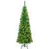 6 ft. Pre-Lit Rowan Slim Tree with Multicolor Lights