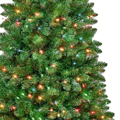 6 ft. Pre-Lit Rowan Slim Tree with Multicolor Lights